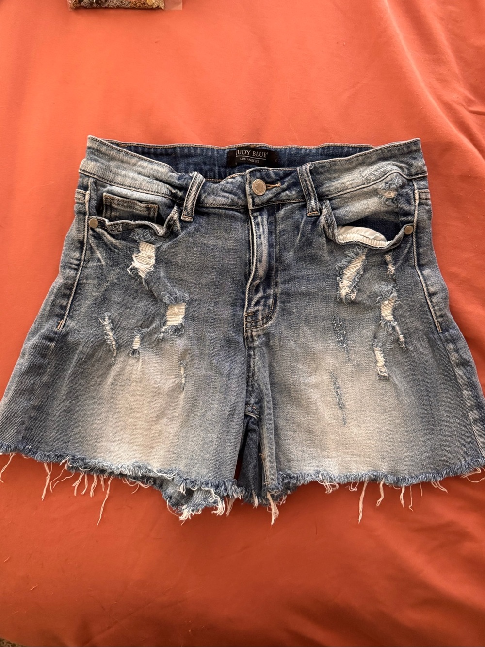 Judy Blue Light Blue Distressed Jean Shorts